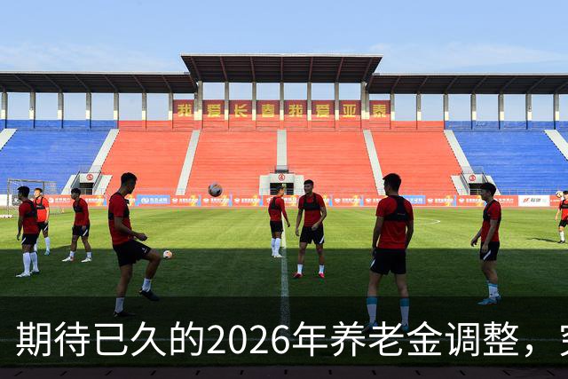 期待已久的2026年养老金调整，究竟会有何变化？