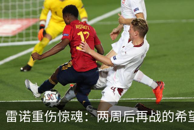 雷诺重伤惊魂：两周后再战的希望